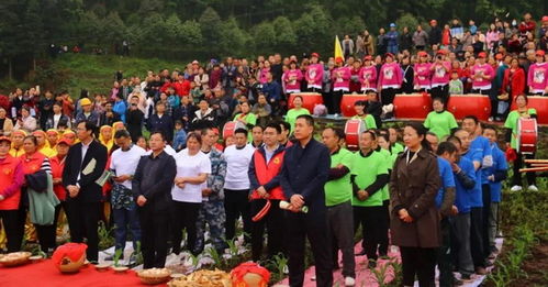 千年农耕祭牛文化，海南非遗传承爆款！