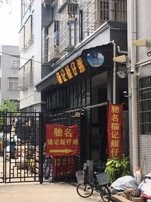 老街生存法则