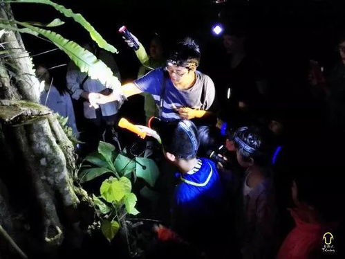 古丽仙的疑惑， 还有那只总是乱叫的鹦鹉