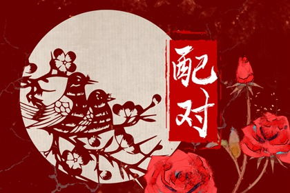 属马男与属鼠配婚合适吗？男士属马最旺饰物是什么意思？