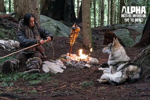 那个狼来了的夜晚，村口树影摇曳，难道不是让人心生疑虑的时刻吗？