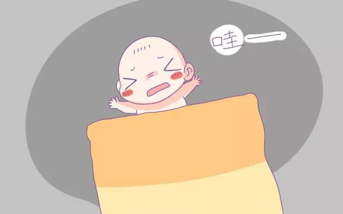 夏天出生的人命运如何，有哪些独特特点？