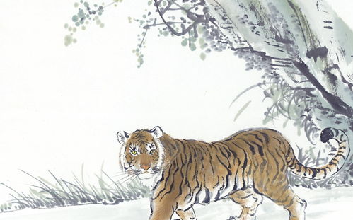 生肖虎：不服输的性格是福气