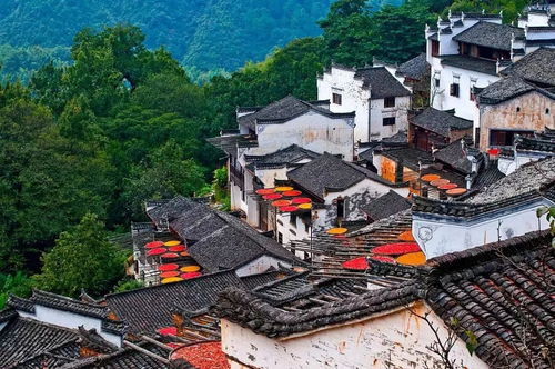 篁岭：别只拍晒秋！这里的“晒”了600年藏着徽州人的生存智慧