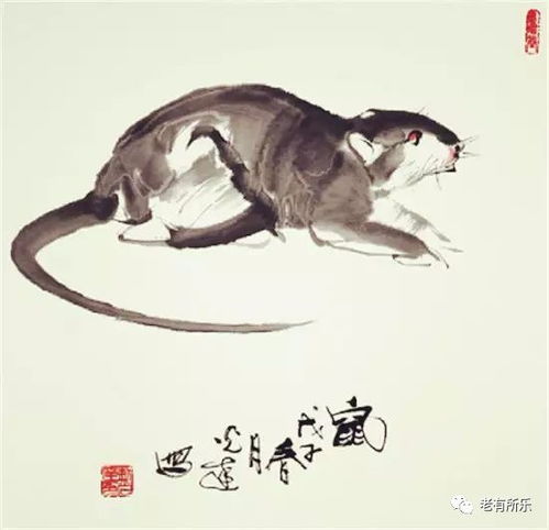 妙不可言和奇思妙想分别指的是哪个生肖？