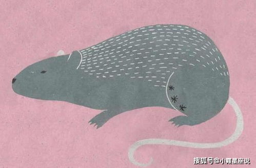 “三生石”般的执着