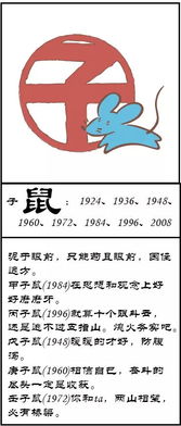 十二生肖运势全面解读具体包括哪些内容？