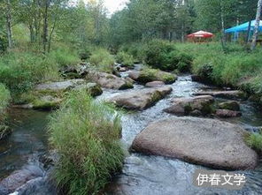 第五步：文化底蕴体验——偶遇鄂伦春族村落（不是必经之路）