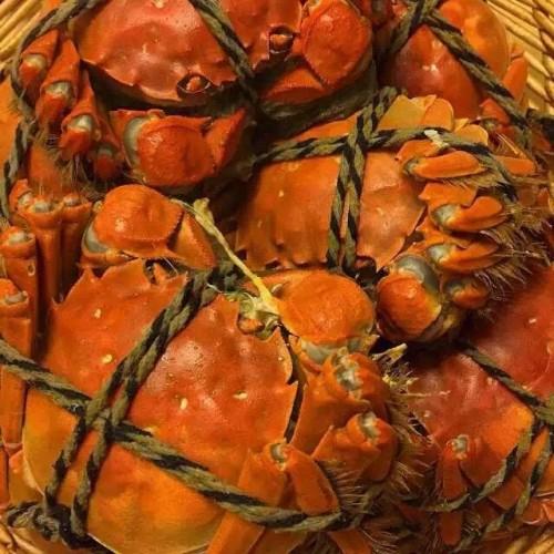 老字号海鲜馆：意想不到的美味