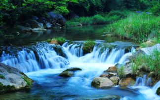 九寨沟——彩虹落在树梢上