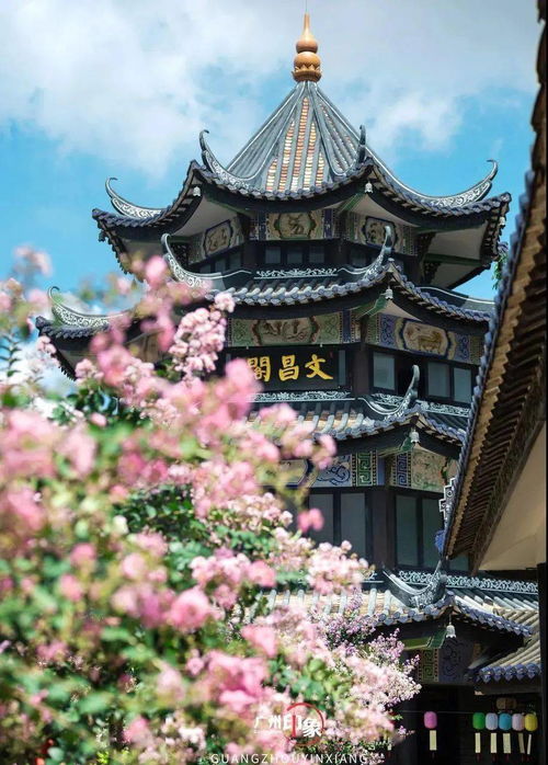 那位叫邬彬的举人——他为哪些要留下一座“山房”呢？