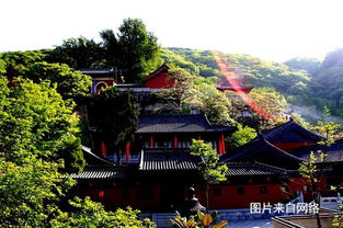 三.1 古树参天,这里简直是仙境!
