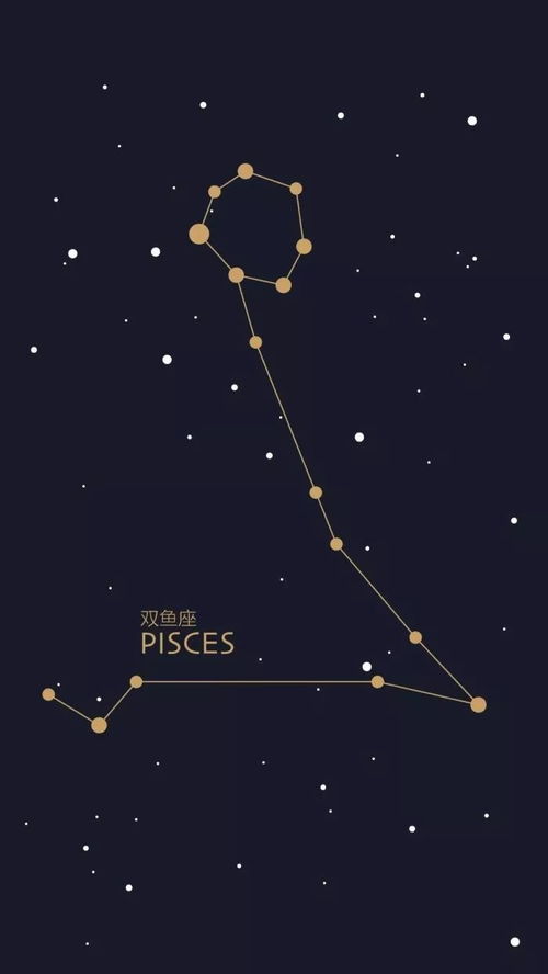 十二星座分别长什么样子？图片展示各星座特征。