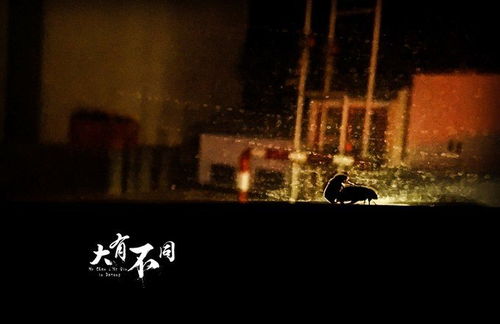 夜半琴声与影子男孩的玄机