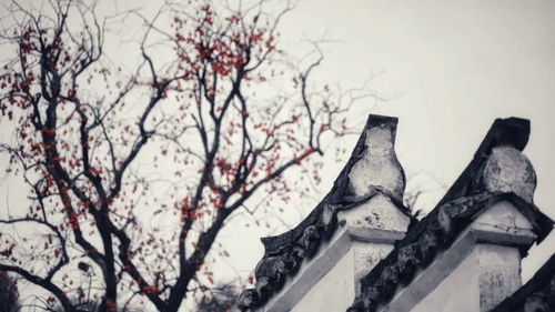 从水墨画中走出的诗意