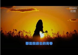 笨鸟先飞， 夜半鸡鸣，谁在敲门？