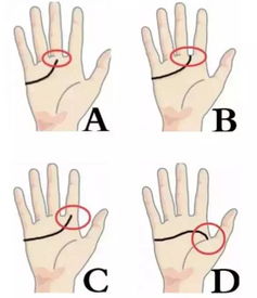 先天决定起点， 后天决定终点