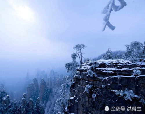 四川过年期间有哪些景点适合游玩？一场关于年味与冰雪的混乱奇遇