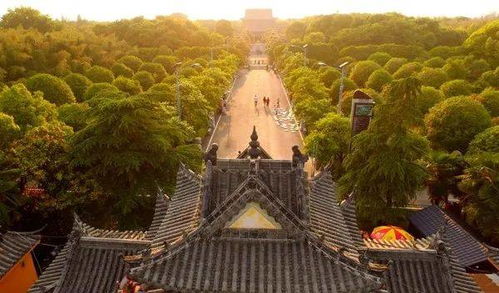 1. 竹音寺：禅意盎然心灵净化