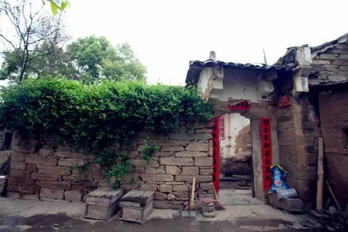 梦见老家风水敞开,梦见自己家风水