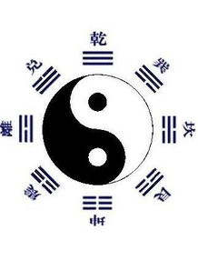甲木命的人运势高峰期是哪几年？