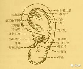 三、 夏朝那些破事儿给我们的启示