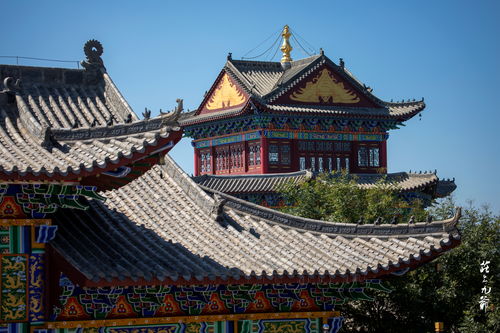 三、禅修活动？扯淡吧你!