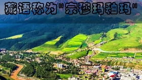 先来个直击心灵的门票市场价格表（带点噪音）