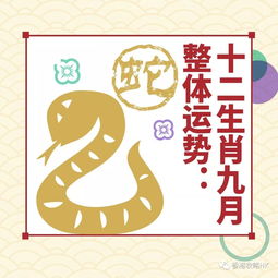麦玲玲2025年生肖运势中，十二生肖下周一周运势具体含义是什么？