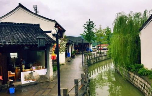 七、川沙古镇——相对清静却暗流汹涌的小众景点