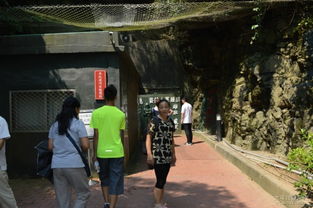 翟山坑道