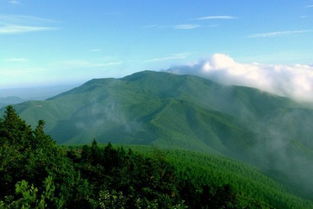 一、 莫干山：一个有点吵闹的世外桃源