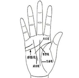 不同手相的命运解析