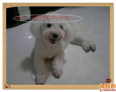 烫衣服=想当强迫症？