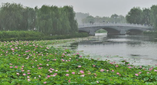 惊！北京这个免费公园正在上演动物大逃亡