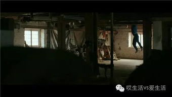 惯与生肖与运势的一些碎碎念