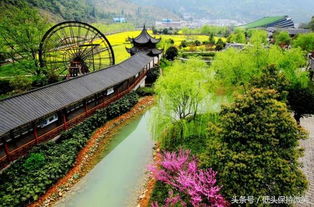 国庆赏菊：锦州特色活动