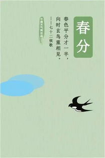 春分平衡之美，二十四节气爆款秘籍
