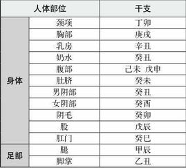 五行命格中，器官对应哪个五行属性是什么意思？