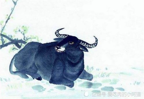 属牛人2026年会遭遇官灾吗？这一年运势如何？