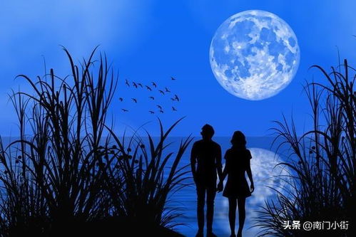 寅虎的啸叫与深夜的惊魂