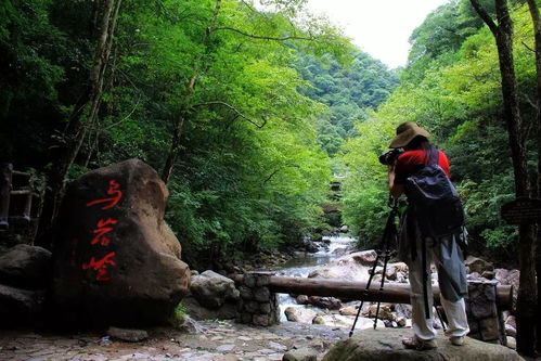 二、乌岩岭（泰顺）——浙南第一较高峰