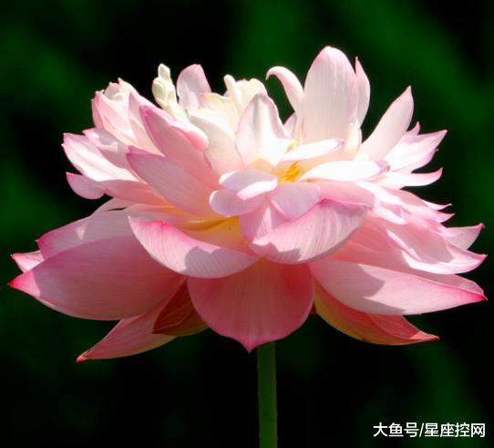 五、  心灵手巧的暖心男闺蜜