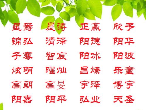 龙年莫姓宝宝取名指南：吉祥如意的名字推荐
