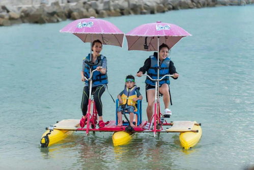深圳沙滩遛娃全攻略：2026年这些地方千万别去！
