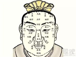 面相特征：颧骨高、 眼神狭长
