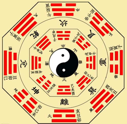 哎呀我去！门口挂八卦牌到底有啥用？2026年运势大揭秘！