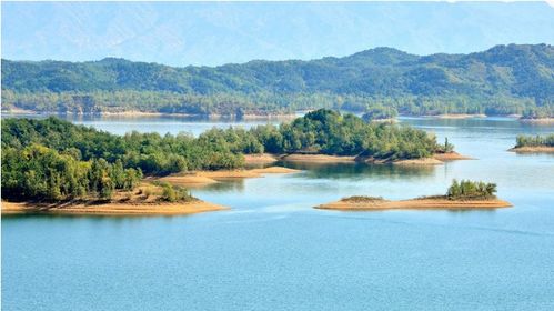 到底去不去？纠结啊！