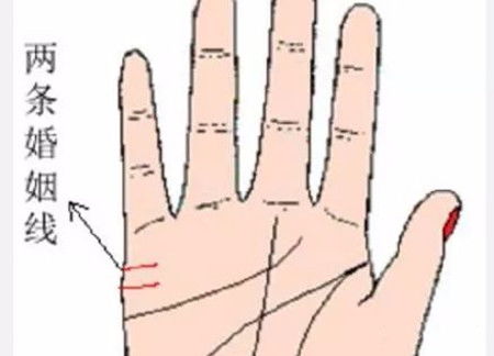 没有婚姻线的女性是否代表智商较低？