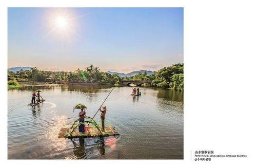 真实案例：李四的悲惨遭遇